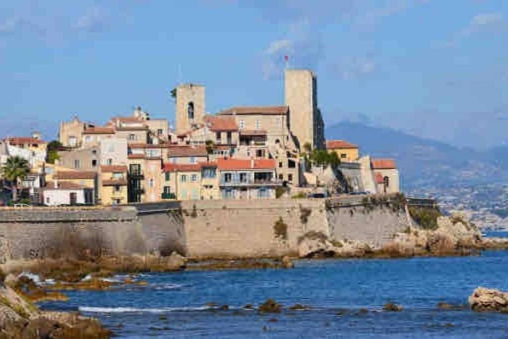 Studio Meuble Proche Plages Et Vieille Ville Antibes Eksteriør billede