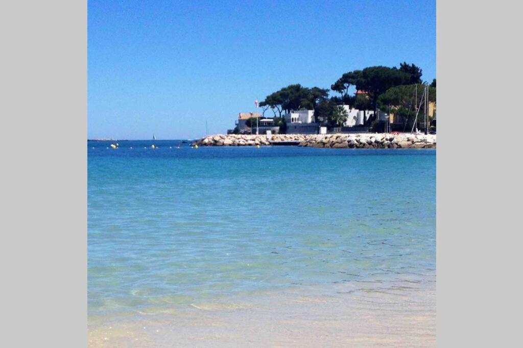 Studio Meuble Proche Plages Et Vieille Ville Antibes Eksteriør billede